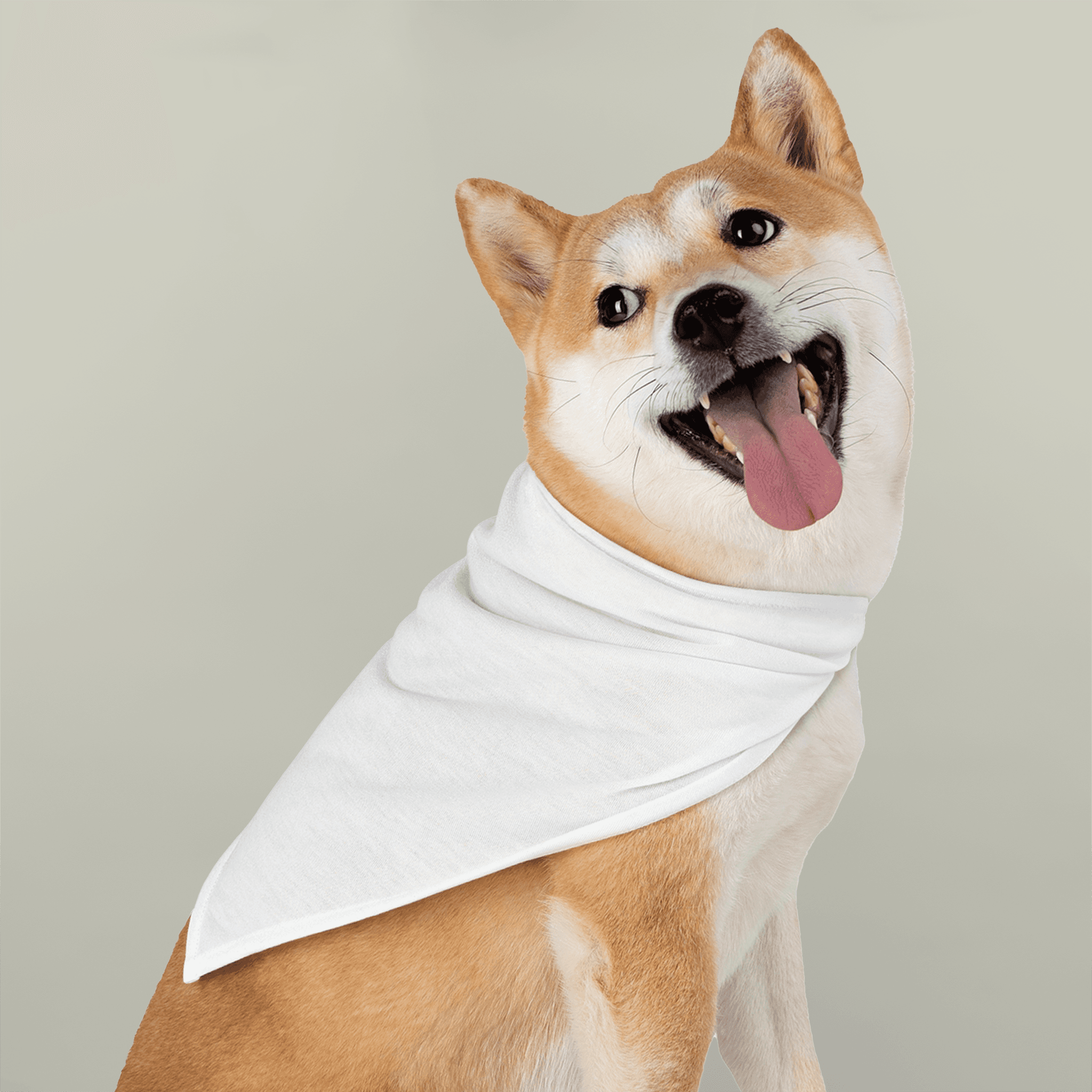 Pet Bandana