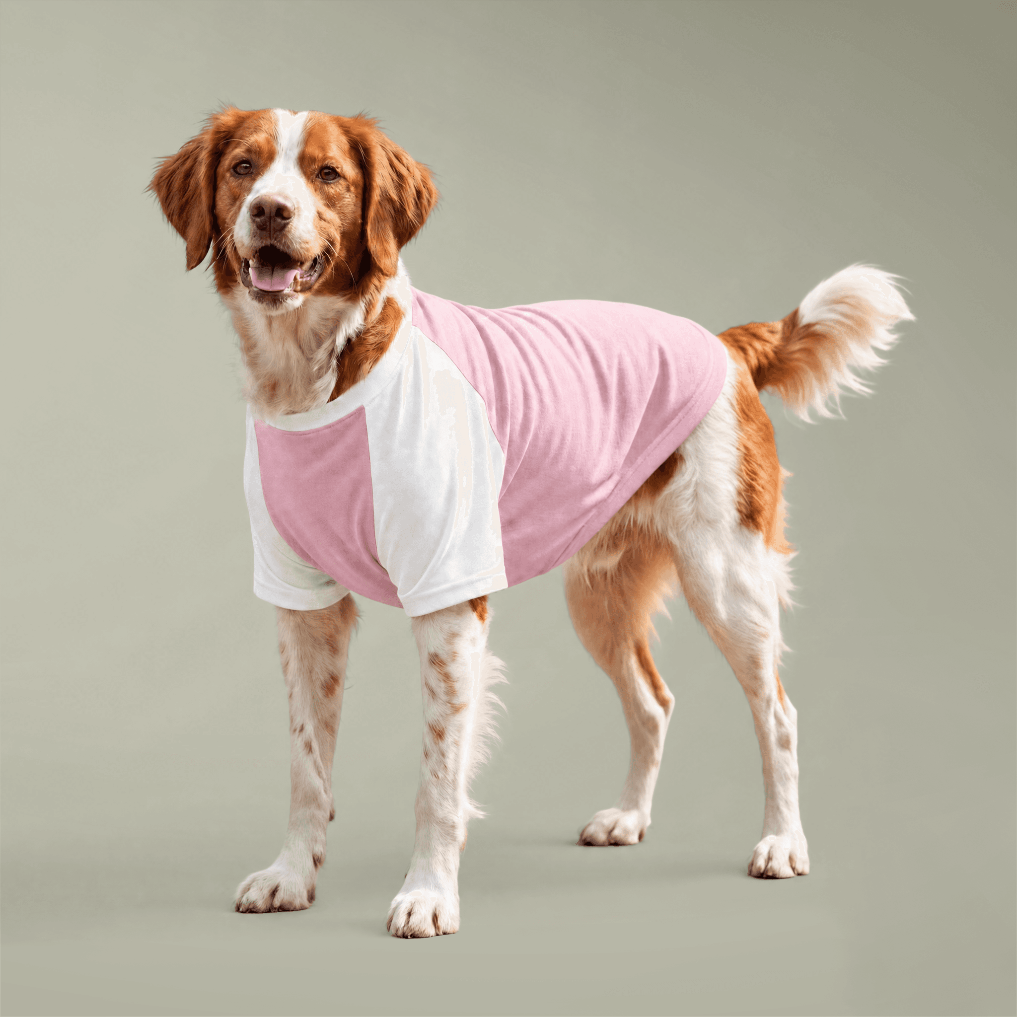 Pet Raglan T-shirt
